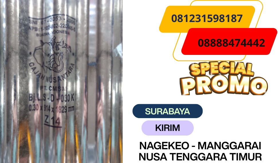seng gajah NAGEKEO