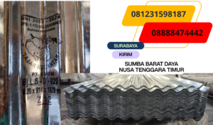 seng gajah SUMBA BARAT DAYA